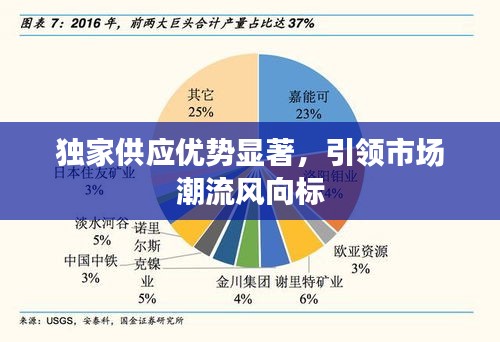 独家供应优势显著，引领市场潮流风向标