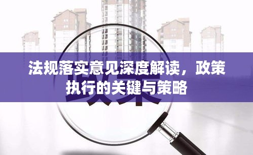 法规落实意见深度解读，政策执行的关键与策略