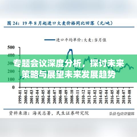 专题会议深度分析，探讨未来策略与展望未来发展趋势