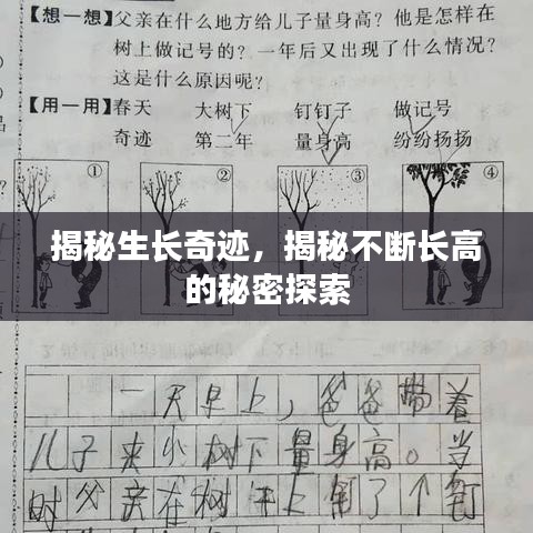 揭秘生长奇迹，揭秘不断长高的秘密探索