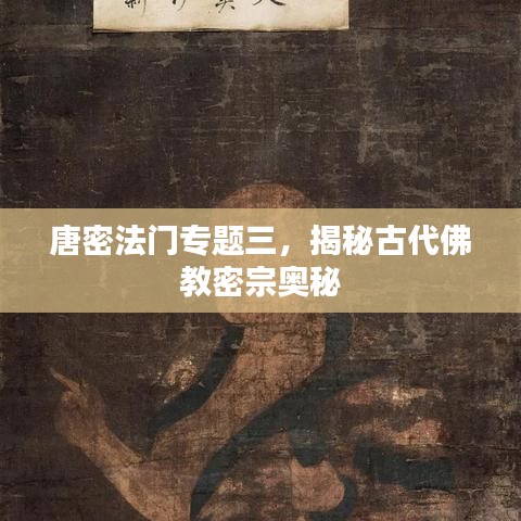 唐密法门专题三，揭秘古代佛教密宗奥秘