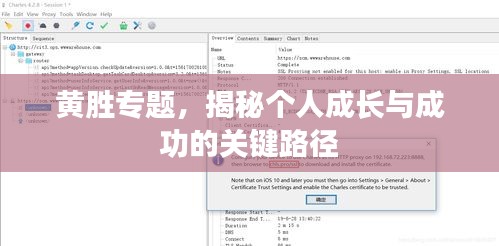 黄胜专题，揭秘个人成长与成功的关键路径