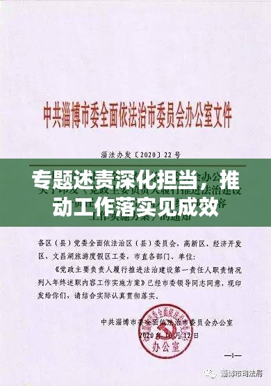 专题述责深化担当，推动工作落实见成效