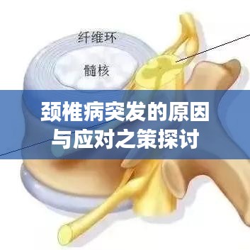 颈椎病突发的原因与应对之策探讨