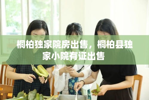 桐柏独家院房出售，桐柏县独家小院有证出售 