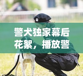 警犬独家幕后花絮，播放警犬连续剧 