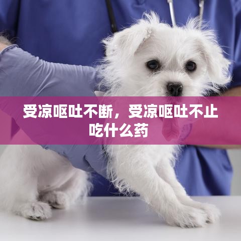 受凉呕吐不断，受凉呕吐不止吃什么药 