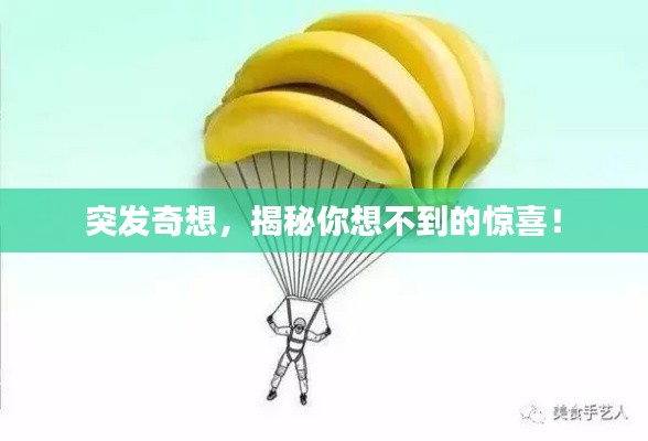 突发奇想，揭秘你想不到的惊喜！