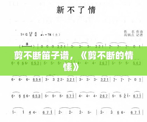 剪不断笛子谱，《剪不断的情愫》 