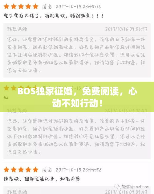 BOS独家征婚，免费阅读，心动不如行动！