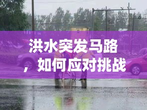 洪水突发马路，如何应对挑战保护生命安全？