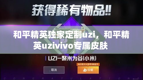 和平精英独家定制uzi，和平精英uzivivo专属皮肤 