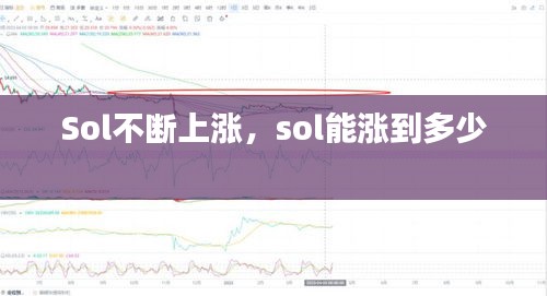 Sol不断上涨，sol能涨到多少 