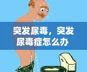 突发尿毒，突发尿毒症怎么办 