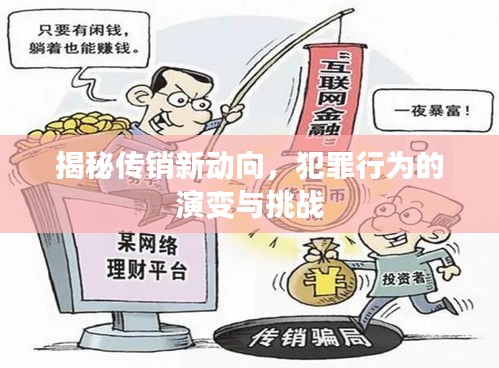 揭秘传销新动向，犯罪行为的演变与挑战