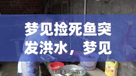 梦见捡死鱼突发洪水，梦见捡个大死鱼还是好的能吃 