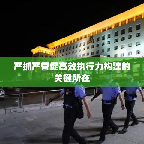 严抓严管促高效执行力构建的关键所在