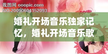 婚礼开场音乐独家记忆，婚礼开场音乐歌曲大全 