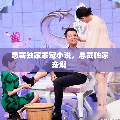 总裁独家乖宠小说，总裁独家宠溺 