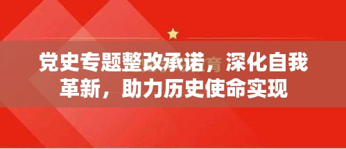 党史专题整改承诺，深化自我革新，助力历史使命实现