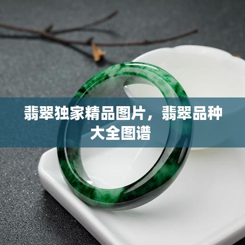 翡翠独家精品图片，翡翠品种大全图谱 