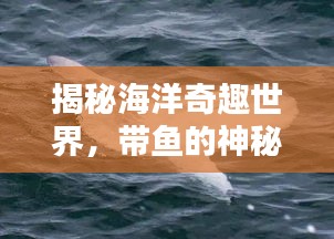 揭秘海洋奇趣世界，带鱼的神秘面纱