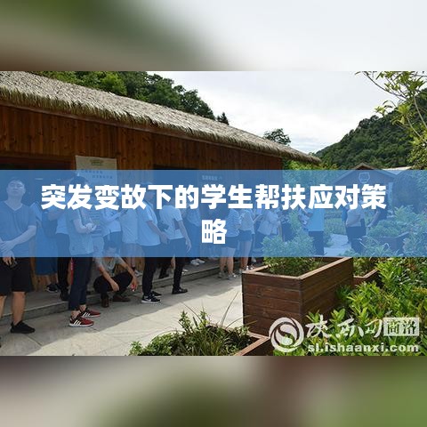 突发变故下的学生帮扶应对策略