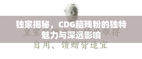 独家揭秘，CDG脑残粉的独特魅力与深远影响