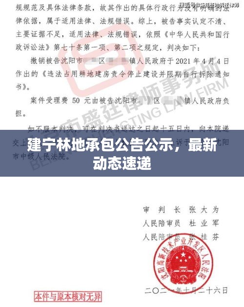 建宁林地承包公告公示，最新动态速递