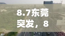 8.7东莞突发，8.13东莞 