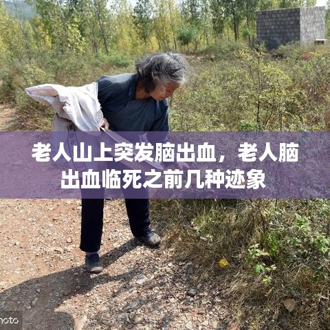 老人山上突发脑出血，老人脑出血临死之前几种迹象 