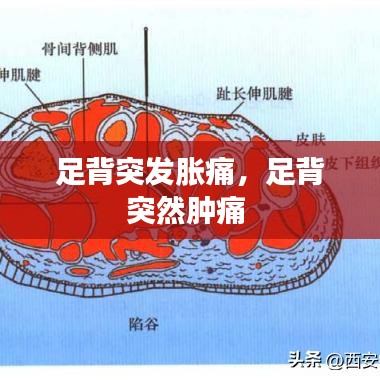 足背突发胀痛，足背突然肿痛 