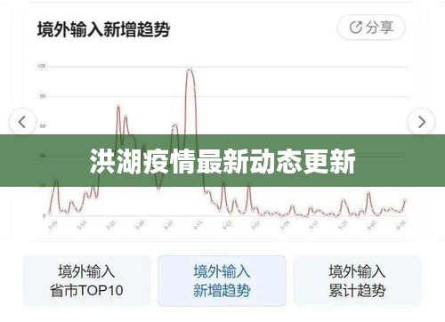 洪湖疫情最新动态更新