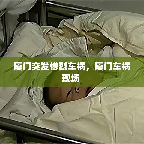 厦门突发惨烈车祸，厦门车祸现场 