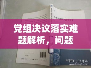 党组决议落实难题解析，问题分析与解决路径探讨