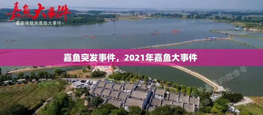 嘉鱼突发事件，2021年嘉鱼大事件 