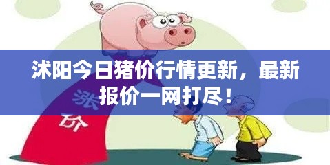 沭阳今日猪价行情更新，最新报价一网打尽！