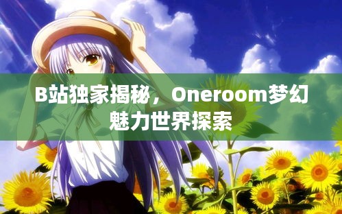 B站独家揭秘，Oneroom梦幻魅力世界探索