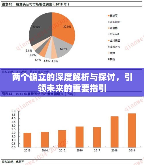 两个确立的深度解析与探讨，引领未来的重要指引