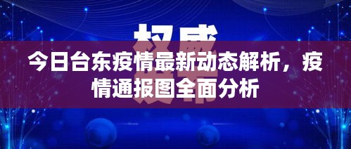 今日台东疫情最新动态解析，疫情通报图全面分析