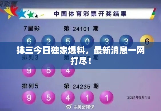 排三今日独家爆料，最新消息一网打尽！