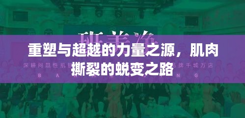 重塑与超越的力量之源，肌肉撕裂的蜕变之路