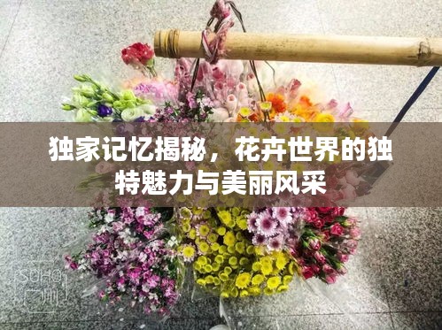 独家记忆揭秘，花卉世界的独特魅力与美丽风采