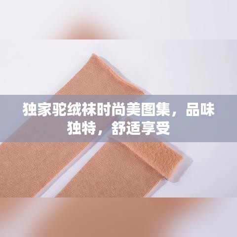 独家驼绒袜时尚美图集，品味独特，舒适享受