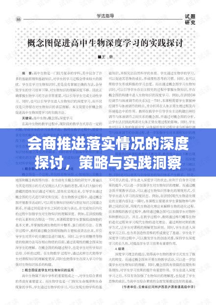 会商推进落实情况的深度探讨，策略与实践洞察