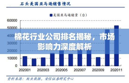 棉花行业公司排名揭秘，市场影响力深度解析