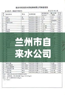 兰州市自来水公司排名及水业界地位揭秘