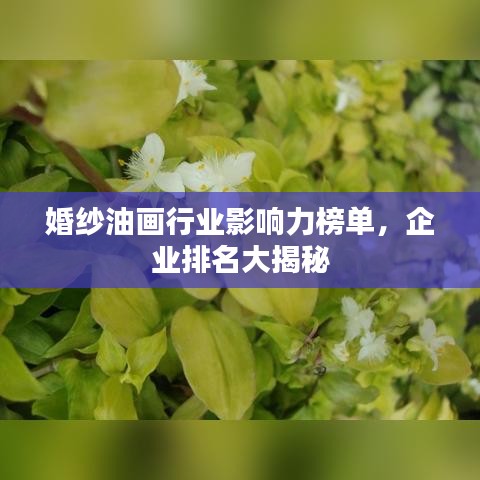 婚纱油画行业影响力榜单，企业排名大揭秘