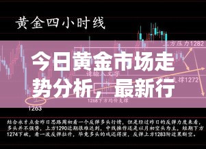 今日黄金市场走势分析，最新行情展望与挖金者必备指南