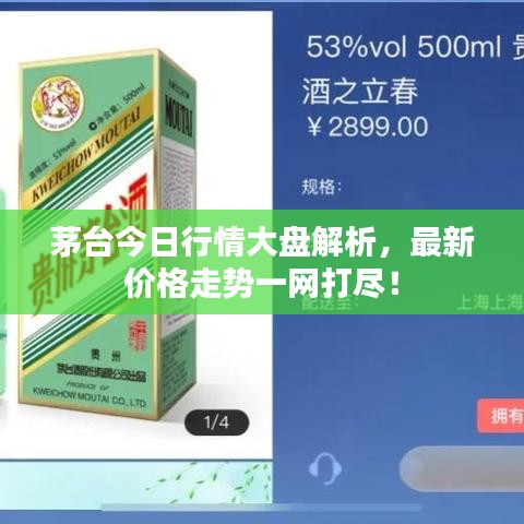 茅台今日行情大盘解析，最新价格走势一网打尽！